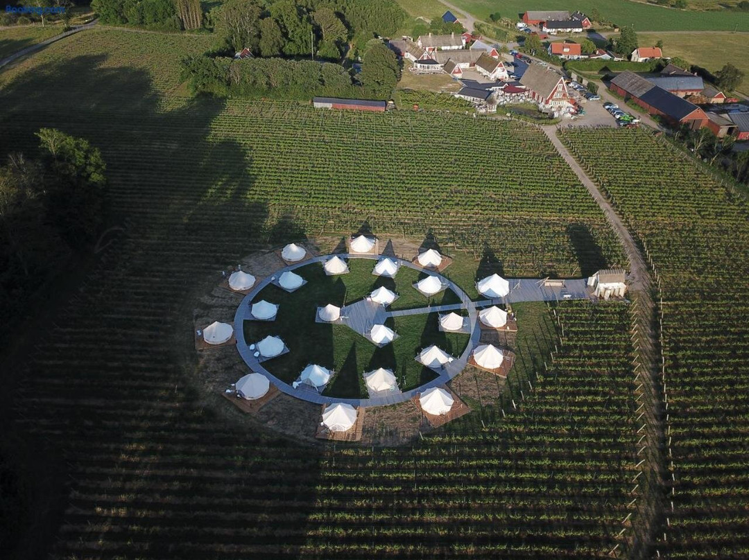 Arilds Vingård