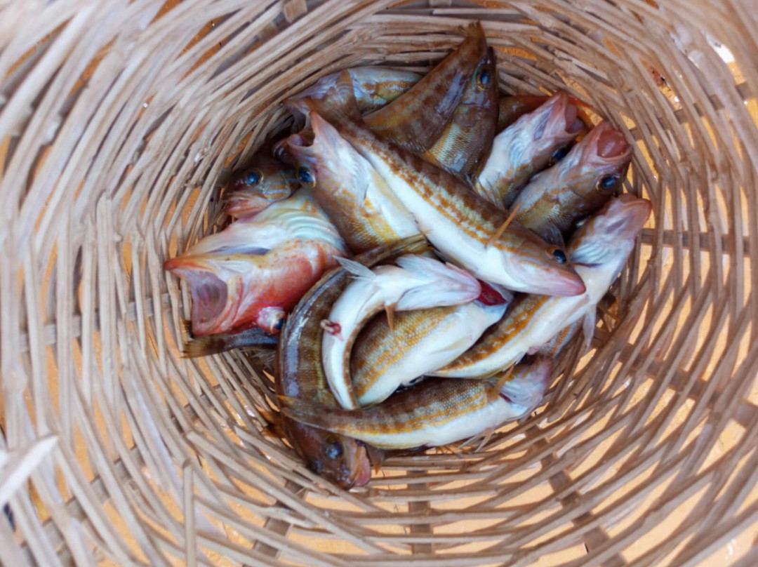 Fishing Trips Kalives-Kalyves必去景点