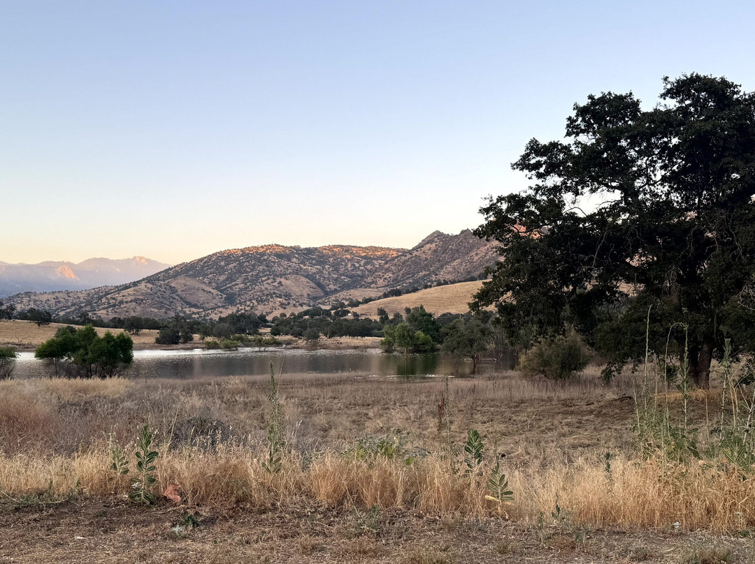 Lazy J Ranch Motel主图