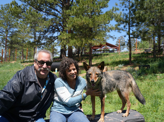 Colorado Wolf and Wildlife Center-Divide必去景点