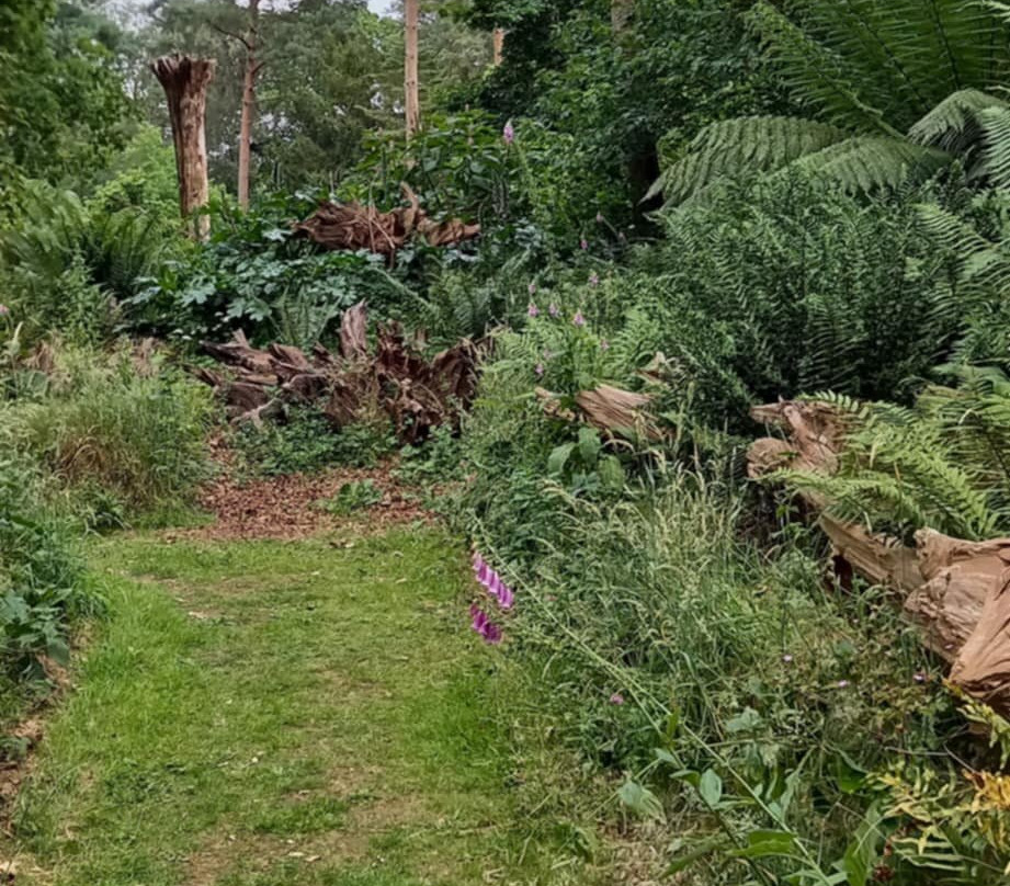 Raveningham Gardens-Raveningham必去景点