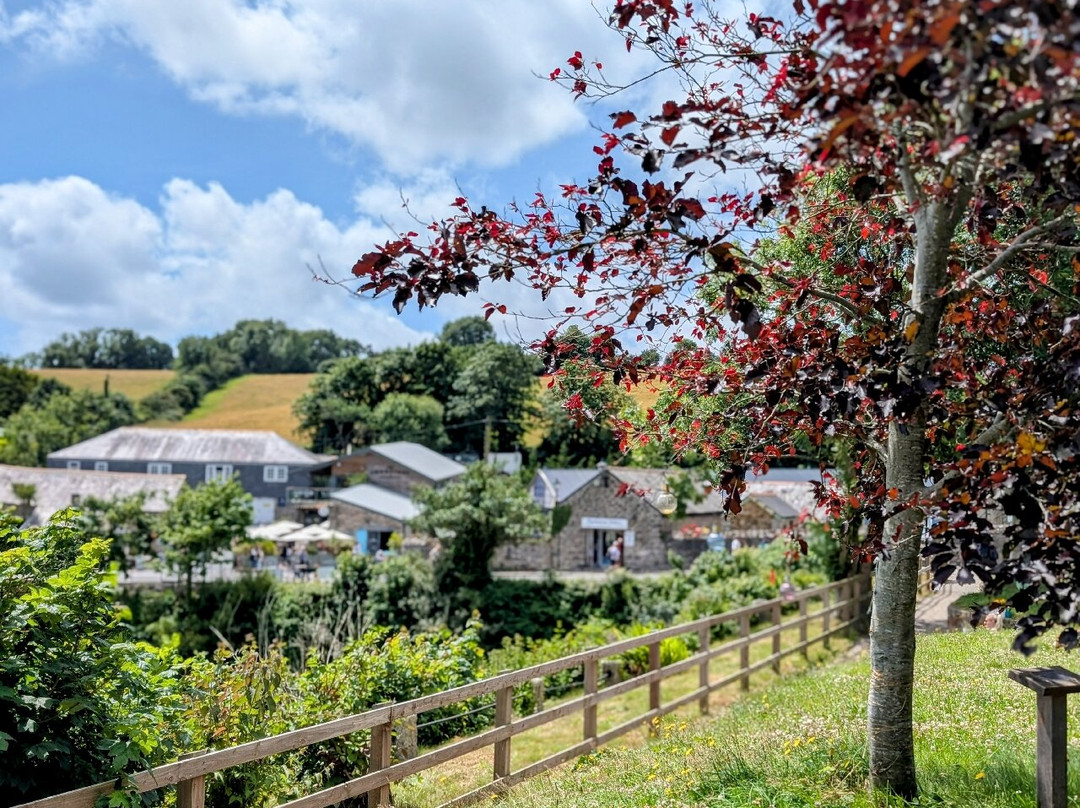 Charlestown Walking Tours-Charlestown必去景点