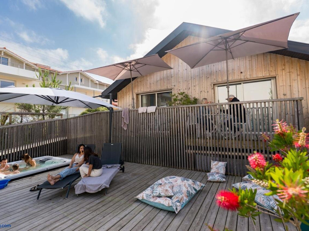 Ted surf lodge