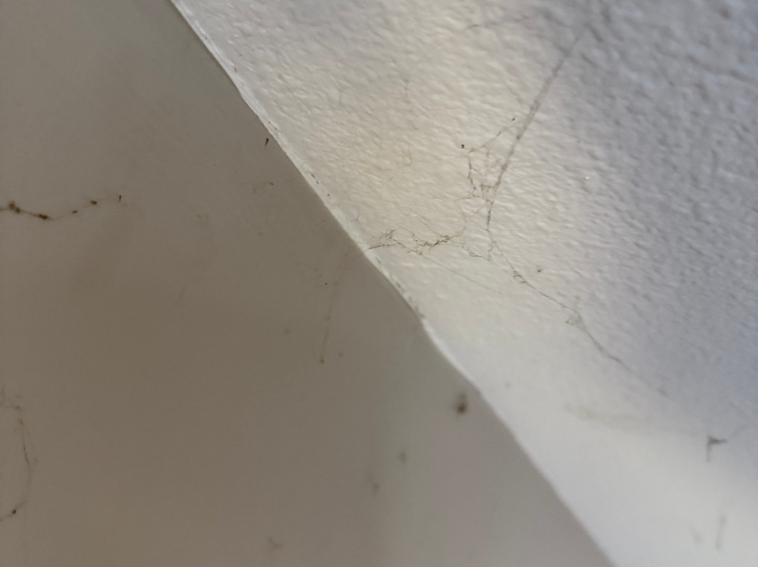 Super 8 by Wyndham Cookeville, TN主图