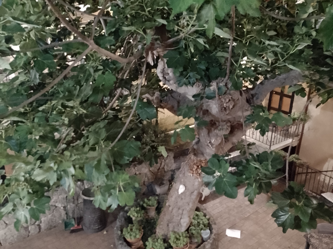 Hotel Albergo Ristorante Il Ciclope主图