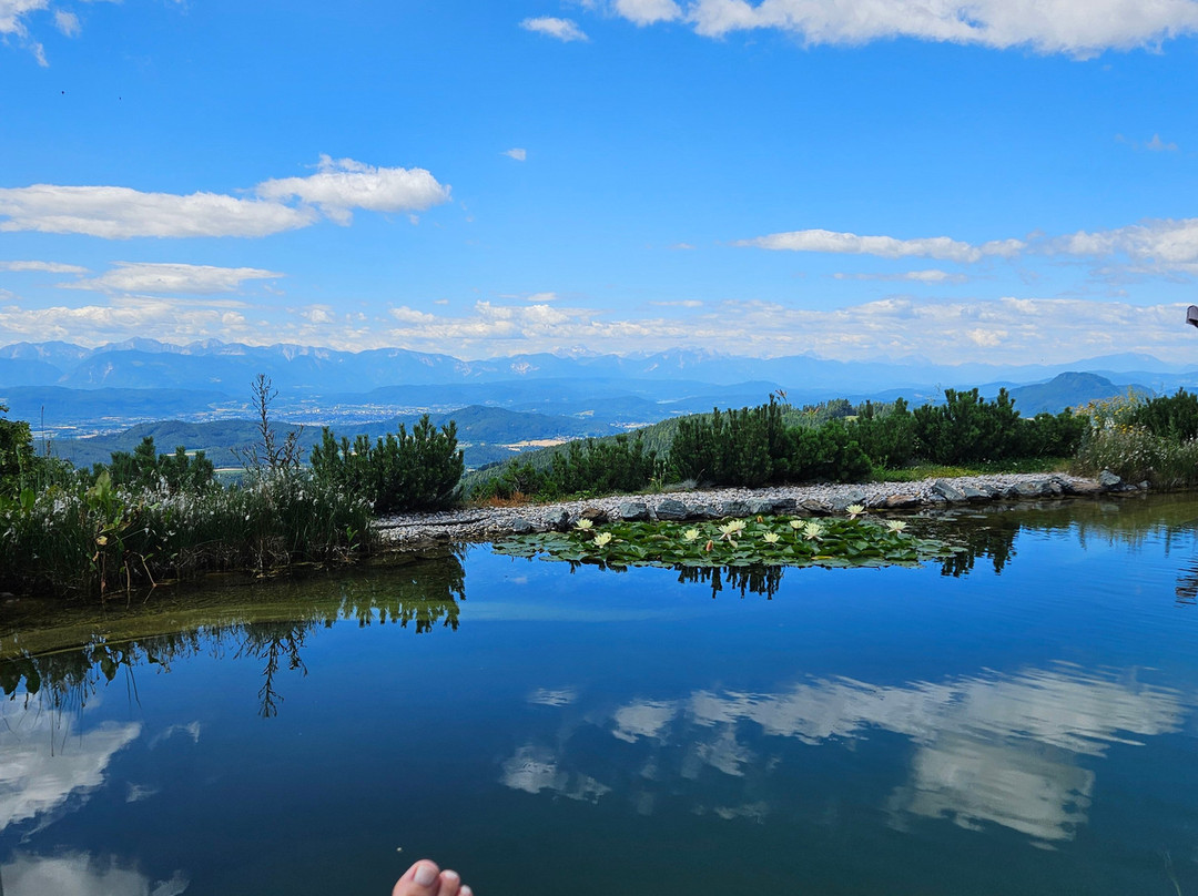 Gipfelhaus Magdalensberg主图