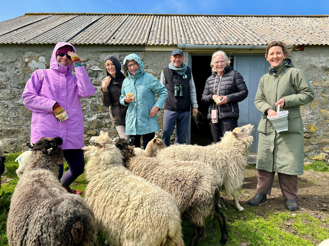 Shetland Wool Adventures-Lerwick必去景点
