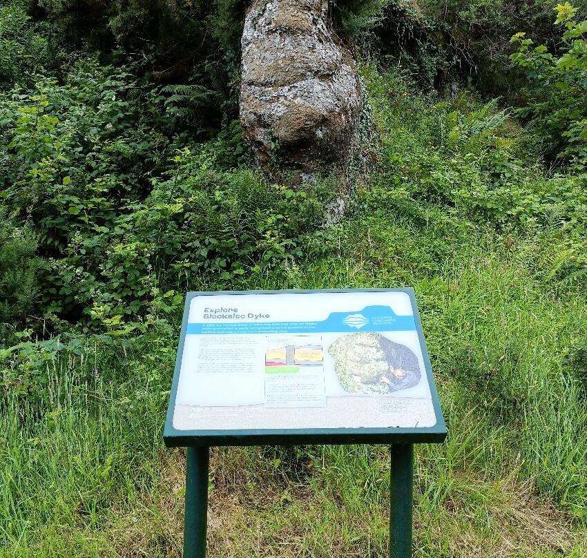 Lough Navar Forest Viewpoint-Derrygonnelly必去景点