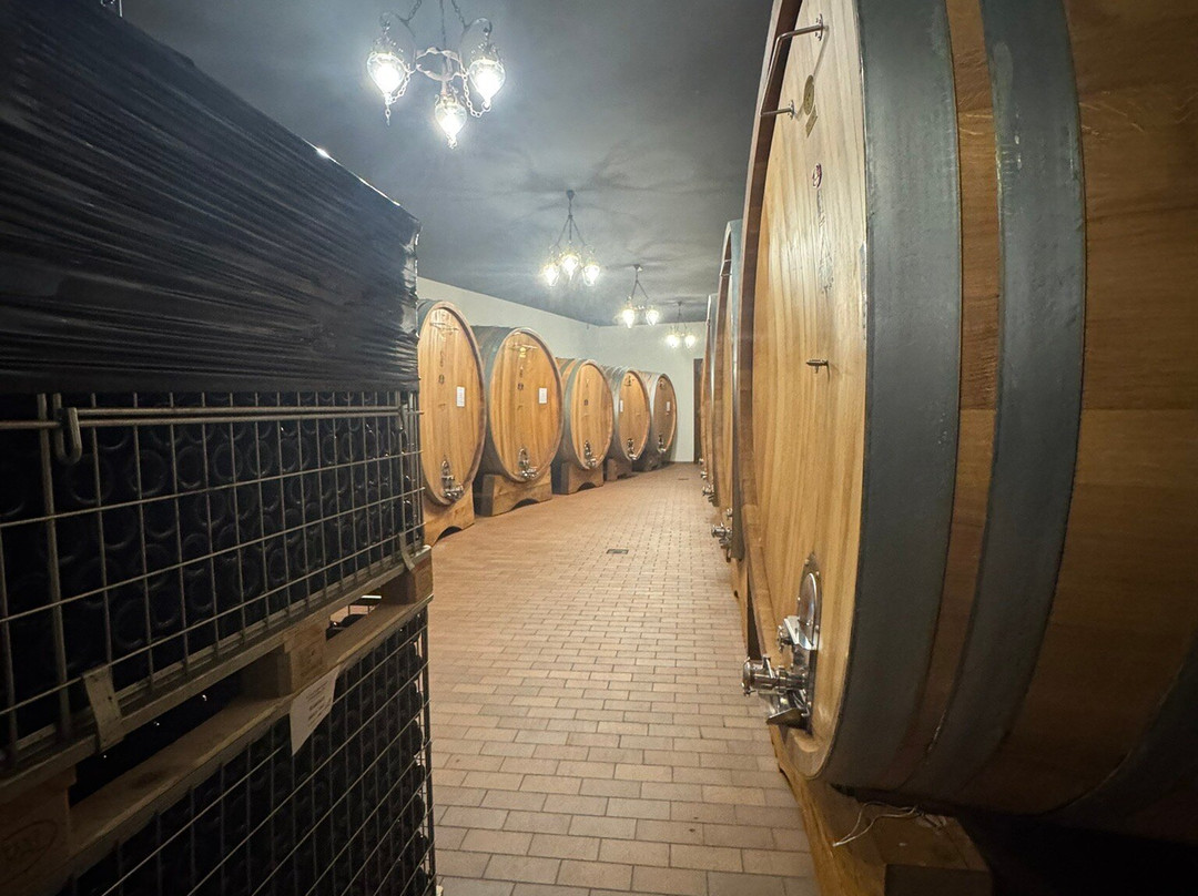 Massolino Winery-塞拉伦加达尔巴必去景点