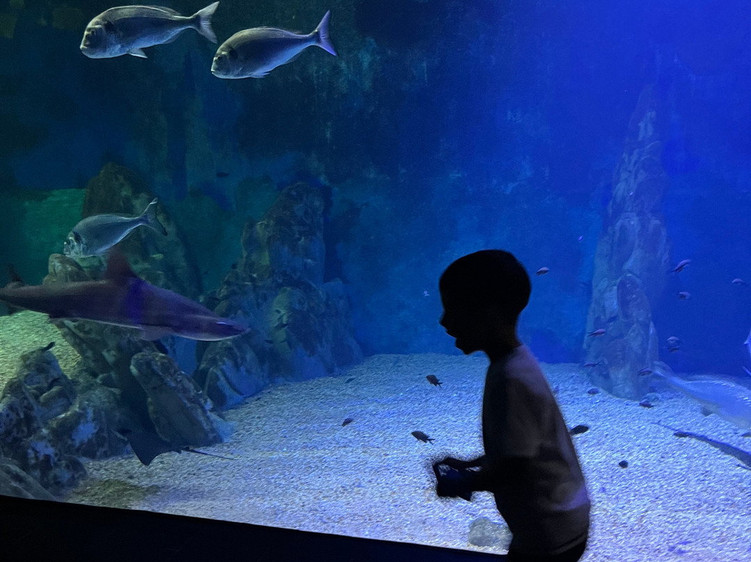 Acquario Cala Gonone-Dorgali必去景点