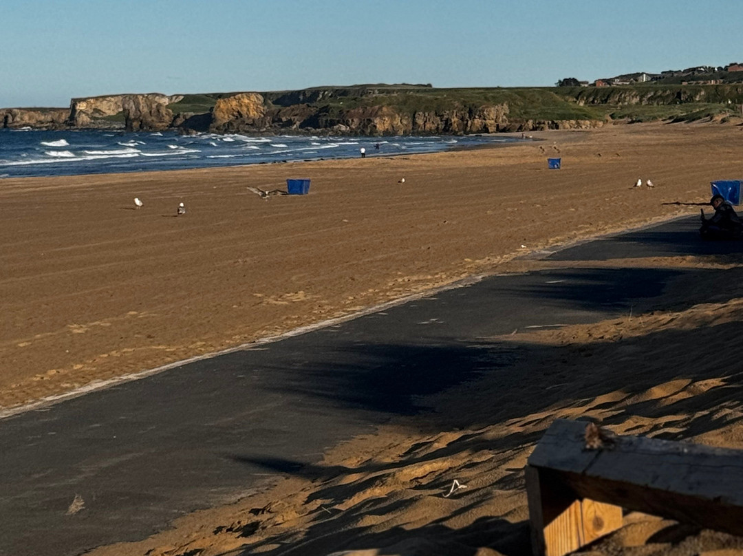 Premier Inn South Shields Port Of Tyne Hotel主图