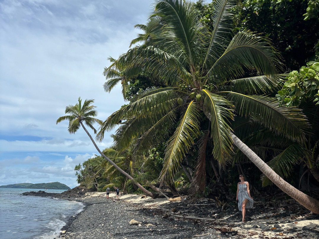 Dravuni Island-苏瓦必去景点