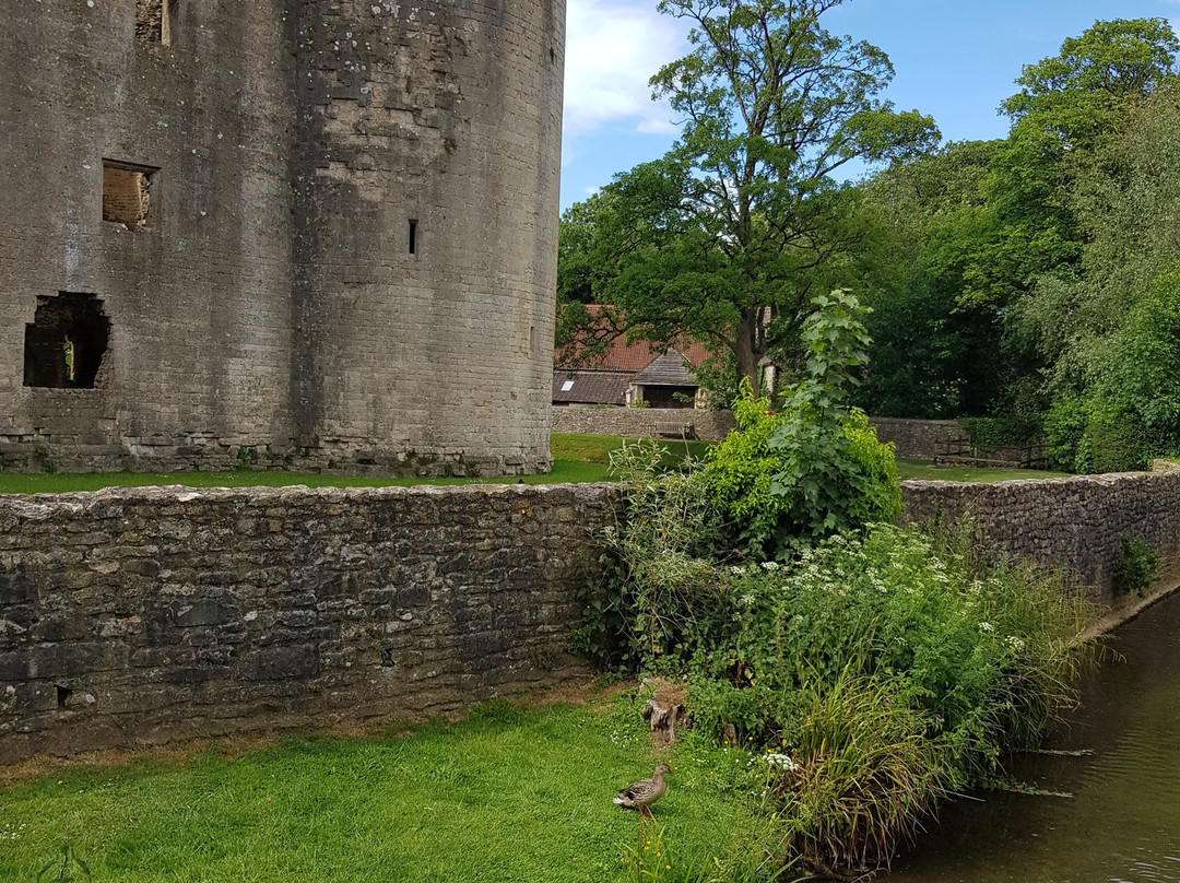 Nunney Castle-Nunney必去景点