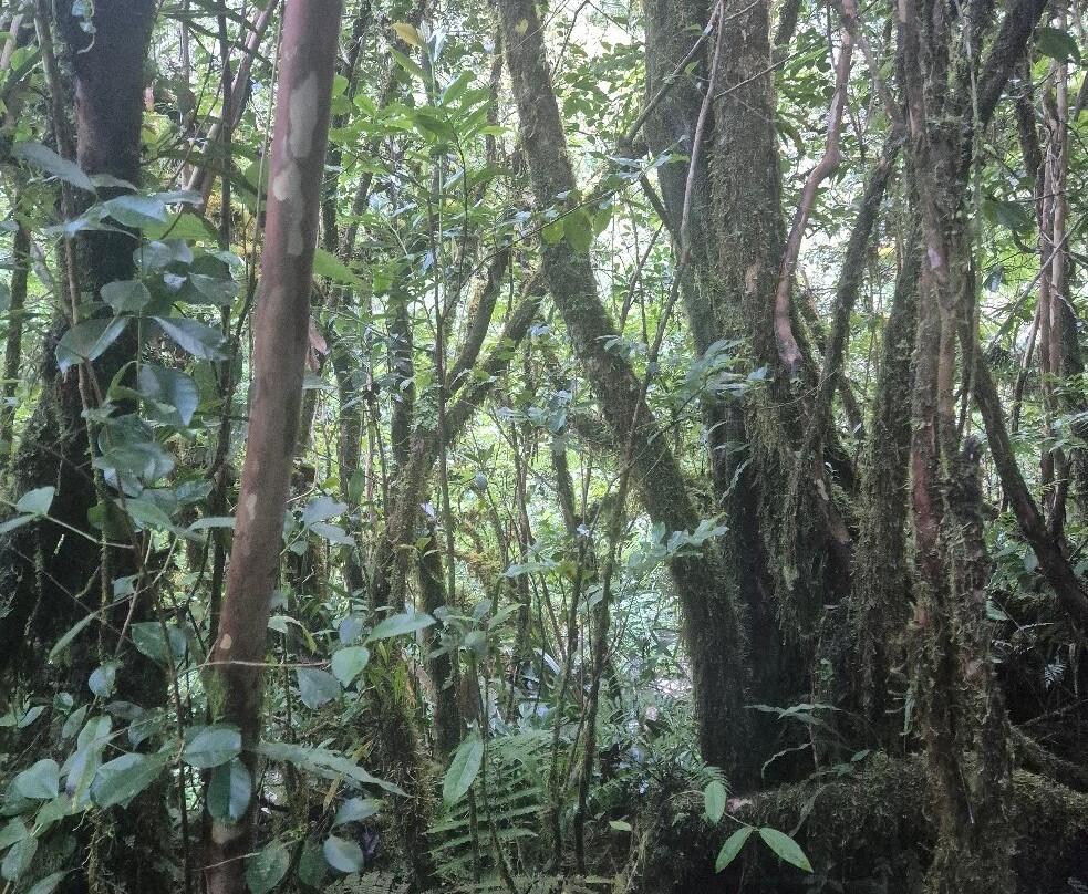 Cascade Biberon-帕尔米斯特平原必去景点