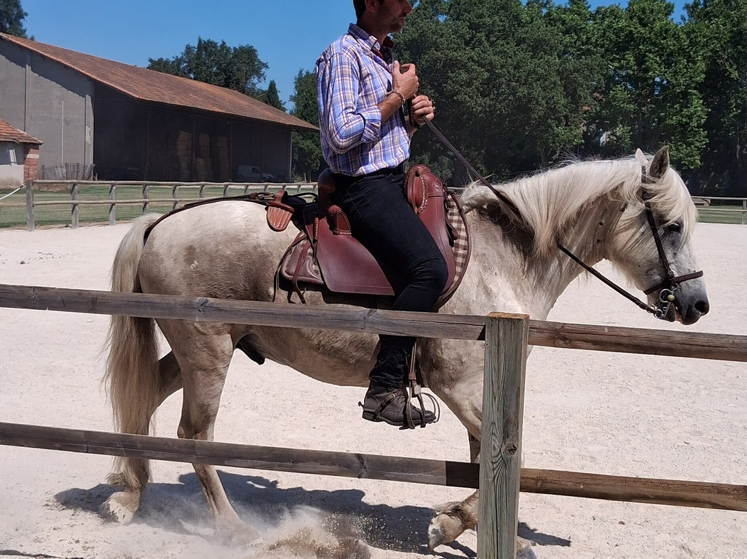 Maison du Cheval - Camargue Association-滨海圣玛丽必去景点