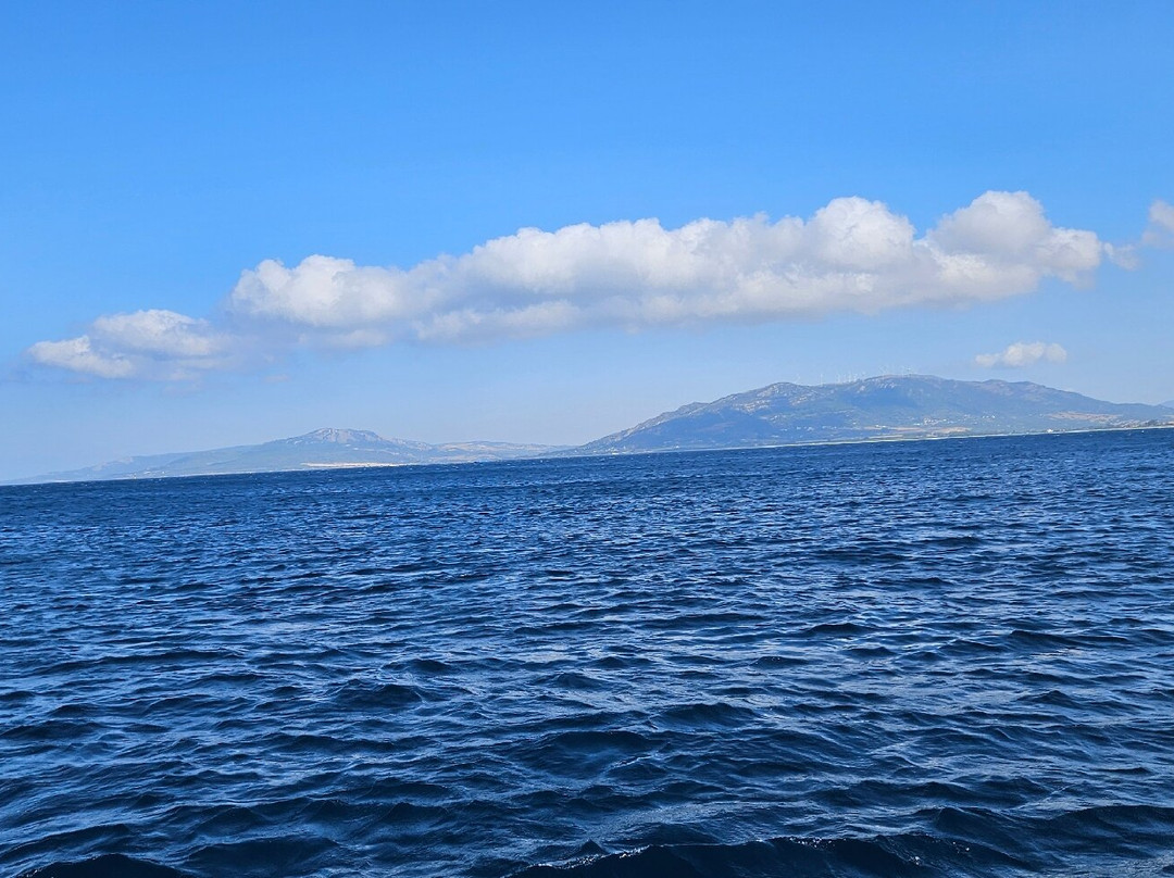 Yellow Submarine-塔里法必去景点