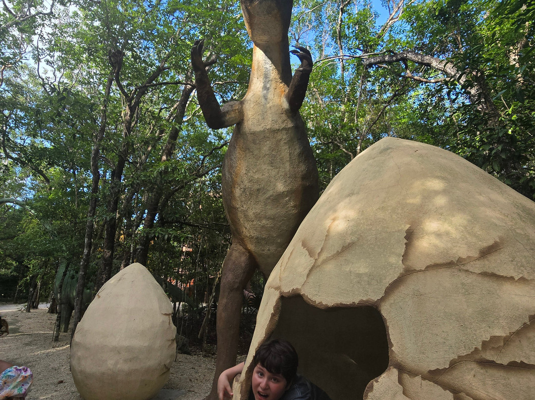 Cenote Zacil-Ha-图伦必去景点