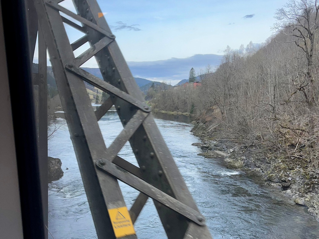 Bergen to Oslo Train Ride-卑尔根必去景点