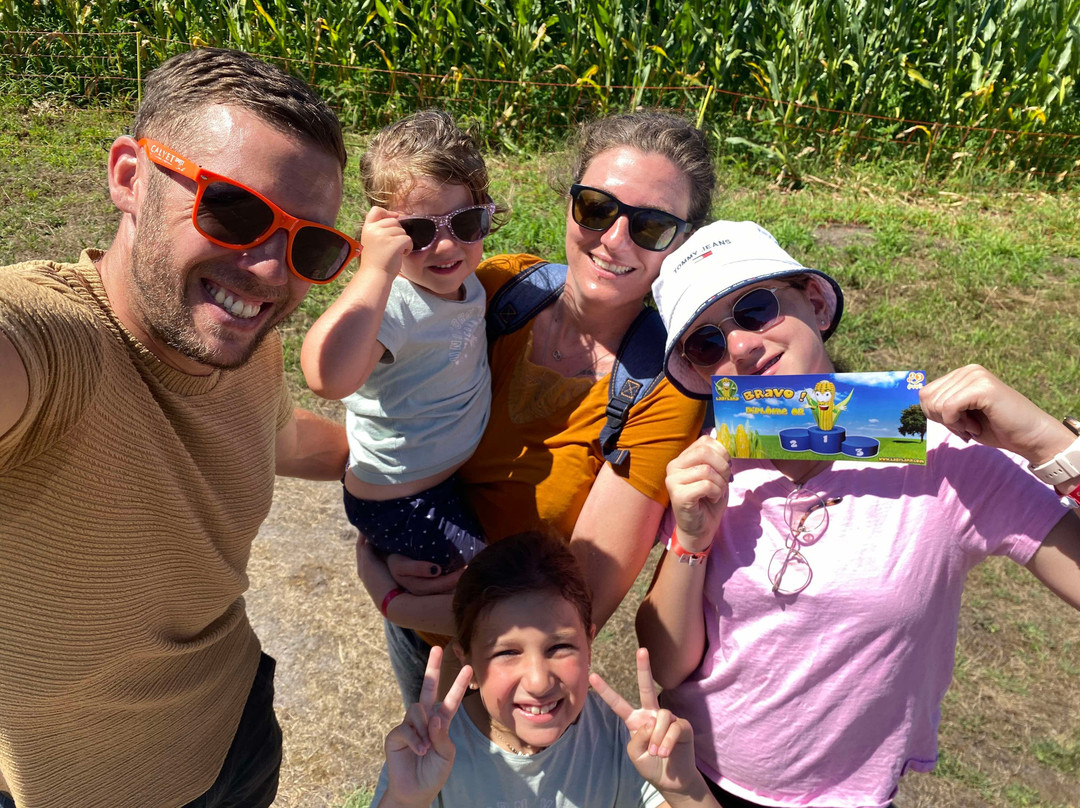 Corn Maze, Labyrinthe De Mais
