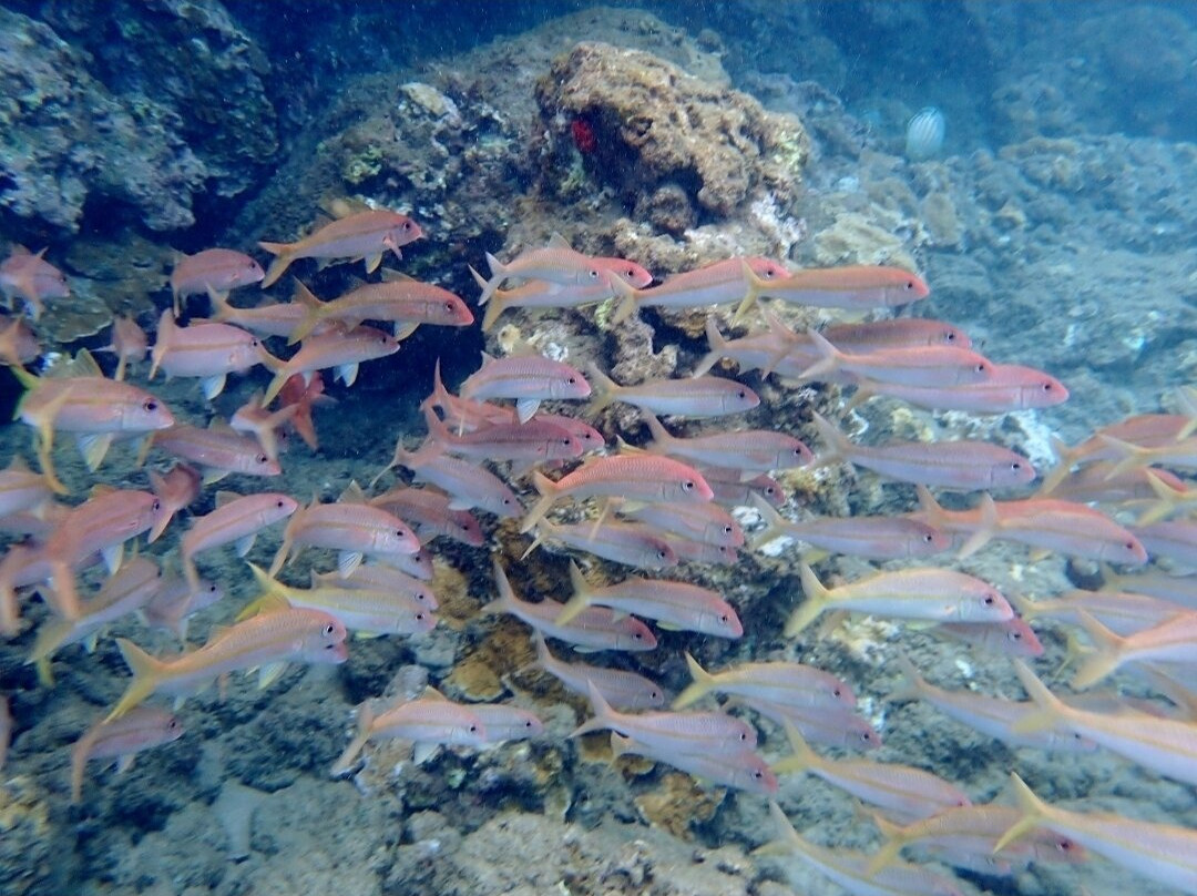 NeverDry Divers-基黑必去景点