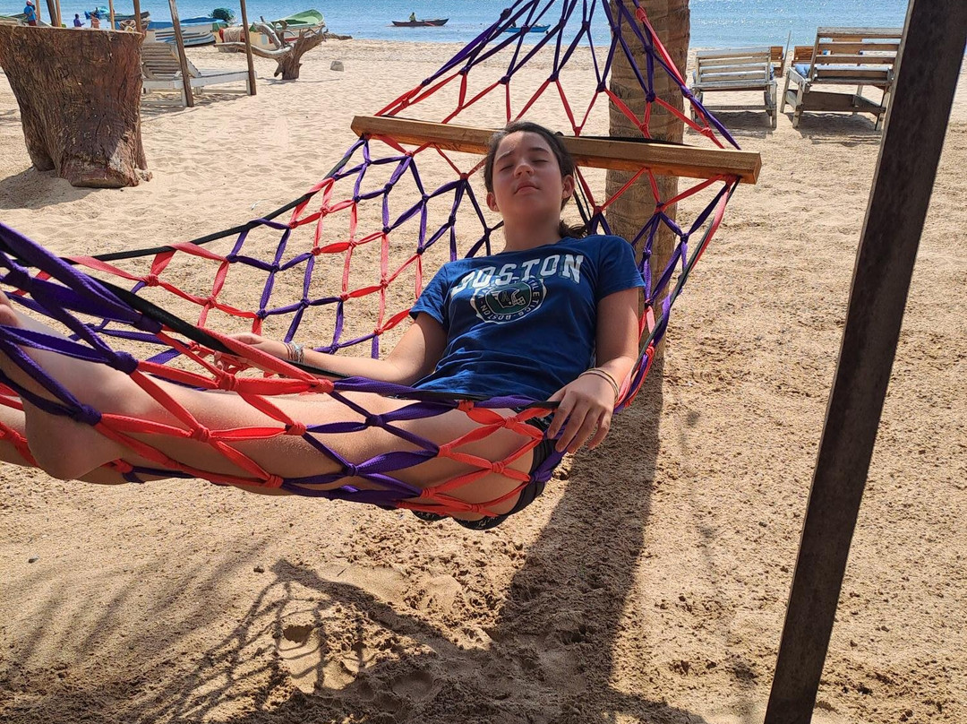 Elegant Green Beach Resort主图