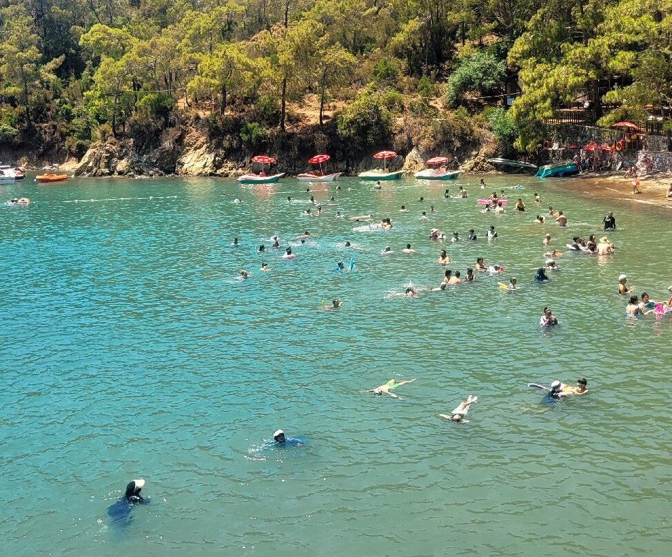 Katrancı Bay Nature Park-Yaniklar必去景点