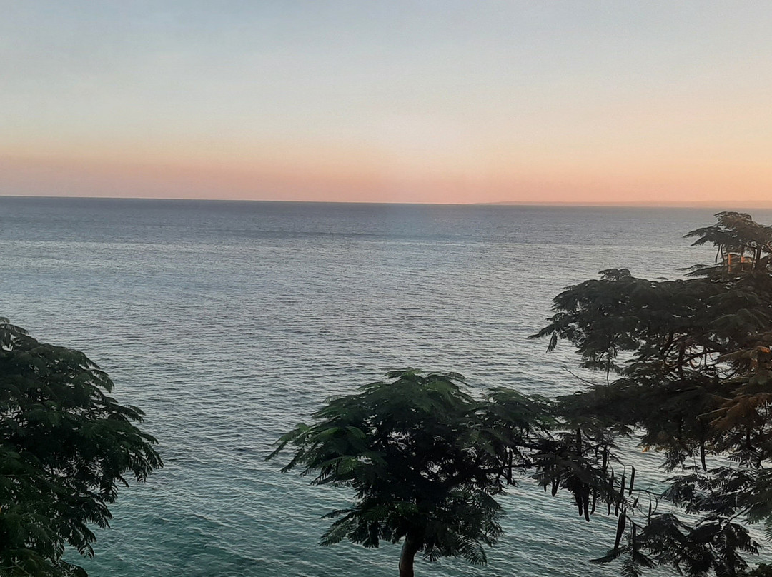 Swiss-Belcourt Kupang主图