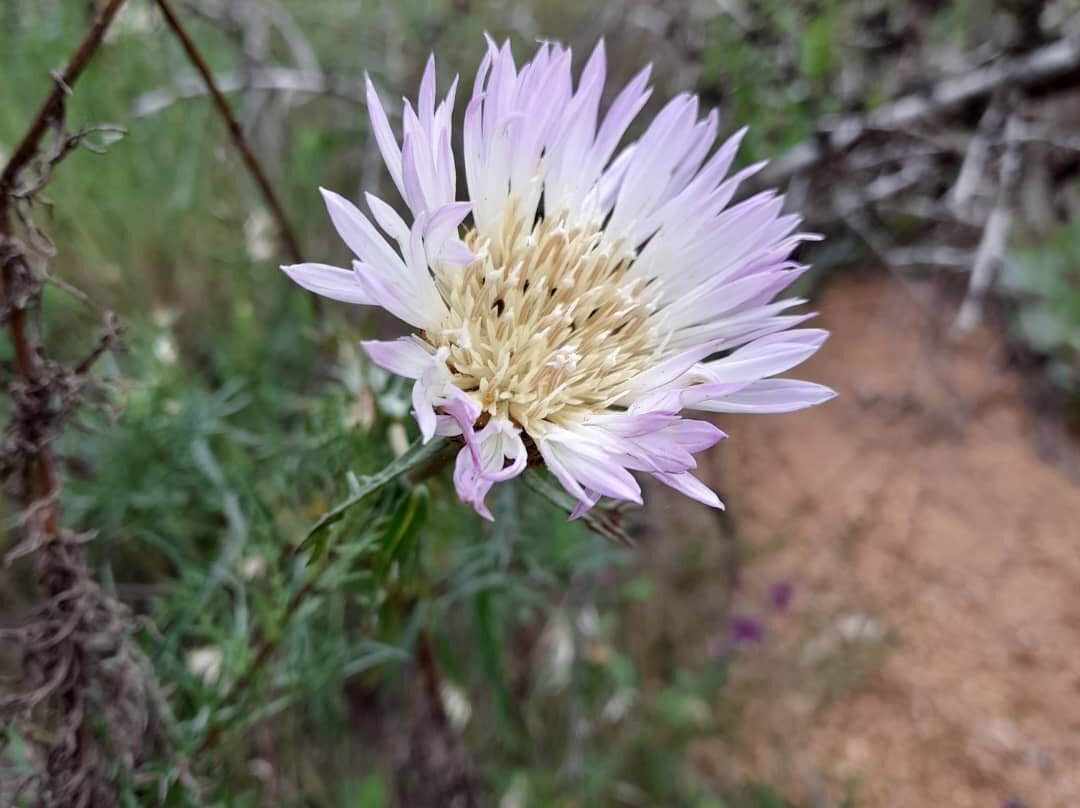 Quebrada de Cordoba-El Tabo必去景点