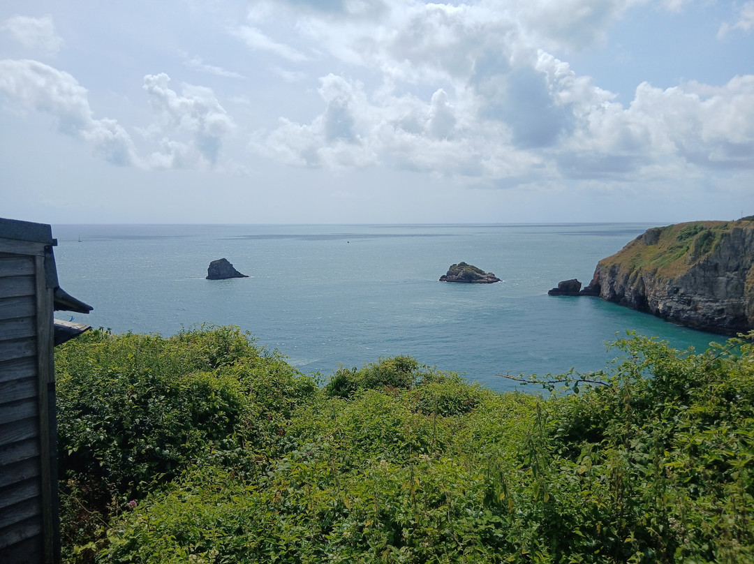 Berry Head National Nature Reserve-布里克瑟姆必去景点