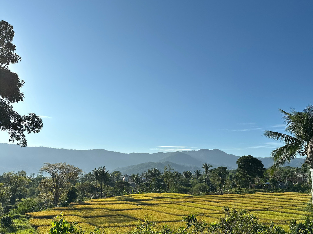 Pannzian Beach主图