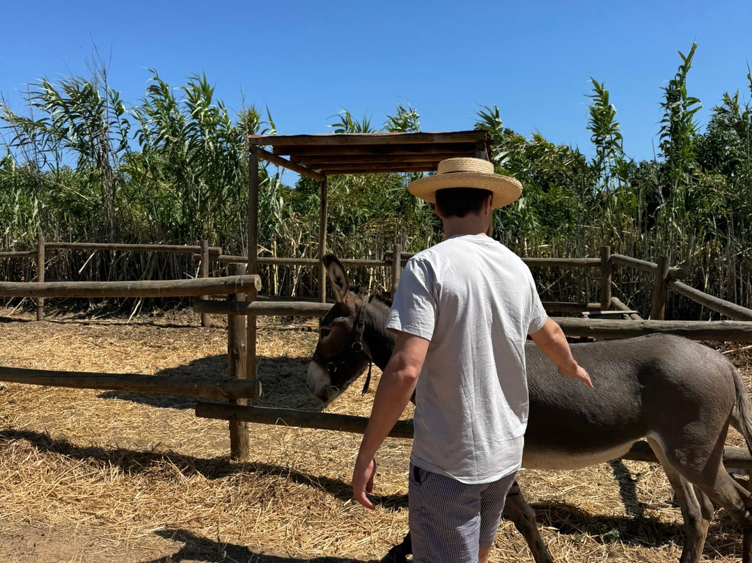 Pensão Agrícola主图
