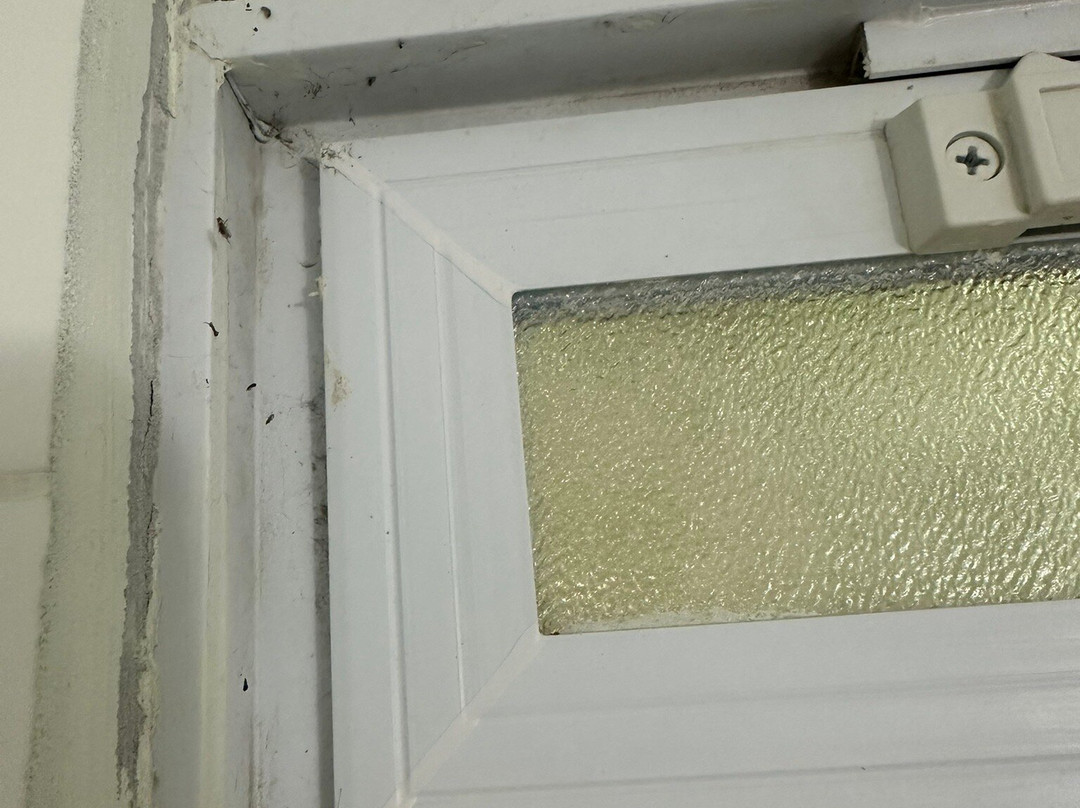 Pikes Peak Inn主图