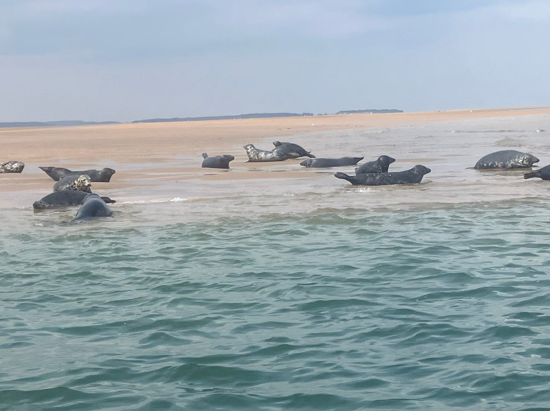 Temples Seal Trips & Blakeney Point-Morston必去景点