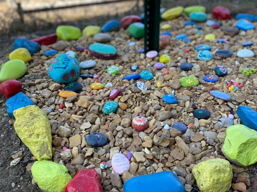 Paradise Alley-Aberdeen必去景点