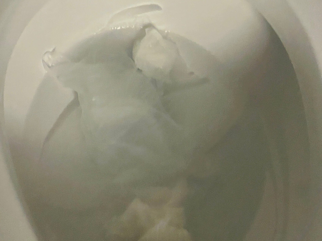 Four Points by Sheraton Mount Prospect O’Hare主图