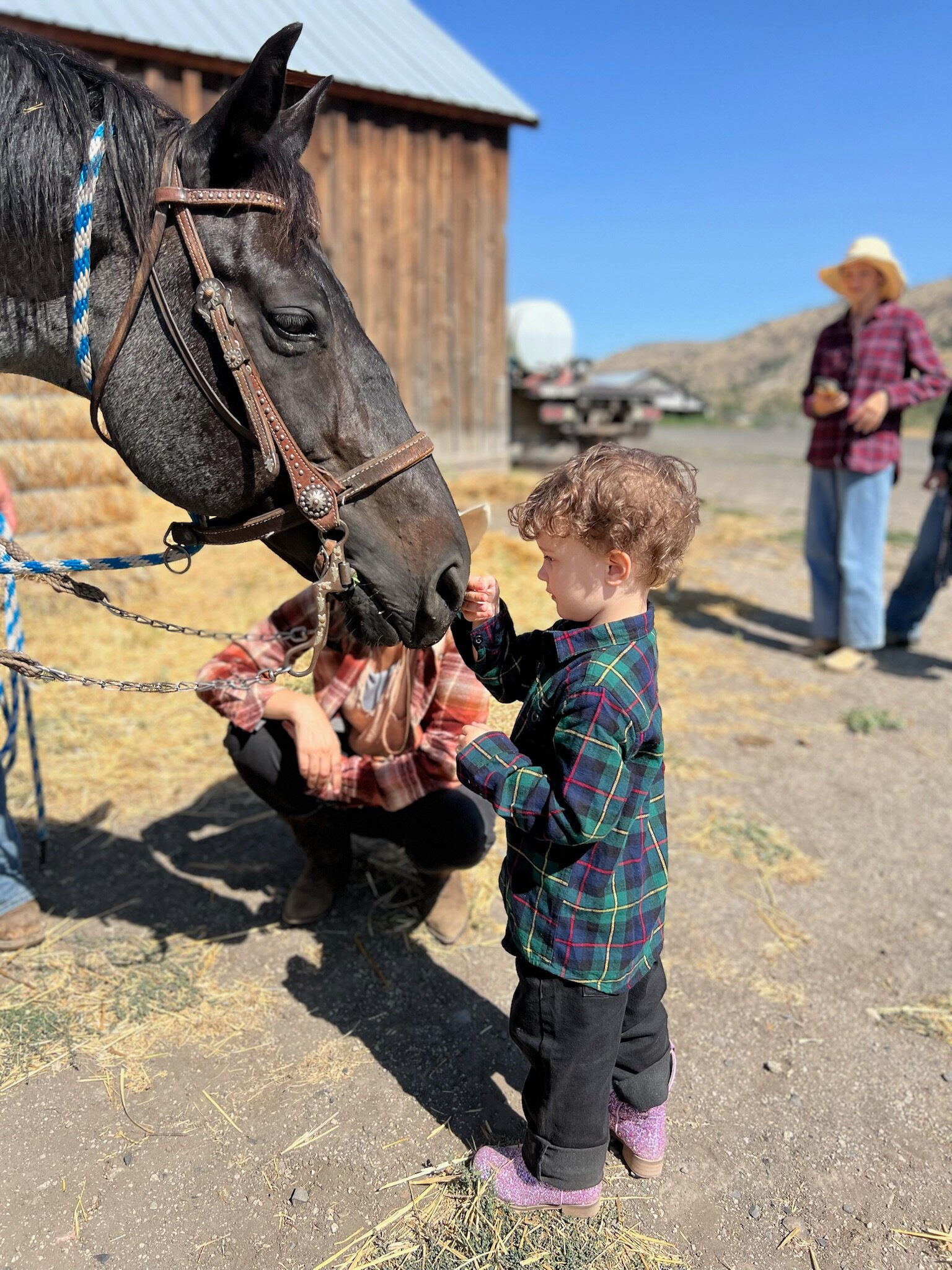 Wilson Ranches Retreat Bed & Breakfast-官方