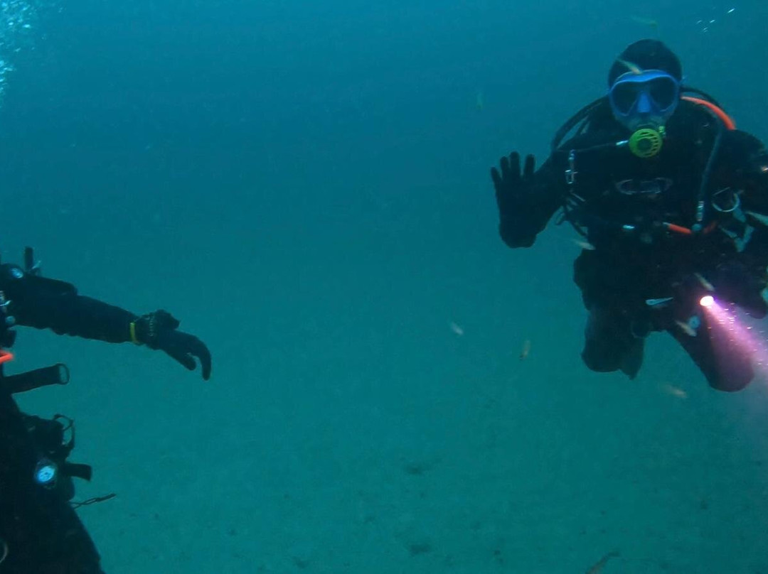 Kraken Diving-Birsay必去景点
