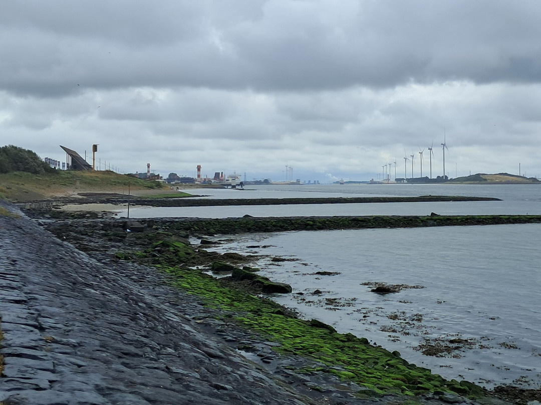 Naaktstrand Hoek van Holland-Hoek van Holland必去景点