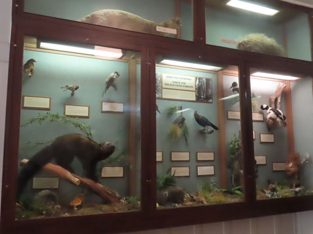 Longmire Museum-Longmire必去景点