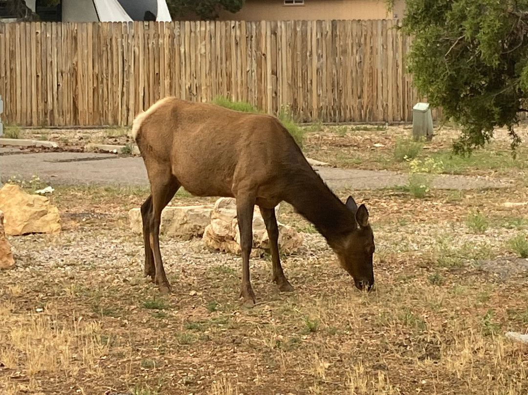 Trailer Village RV Park主图