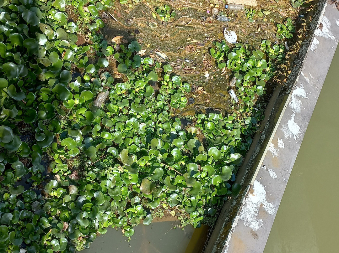 Cascata das Antas-Pocos de Caldas必去景点