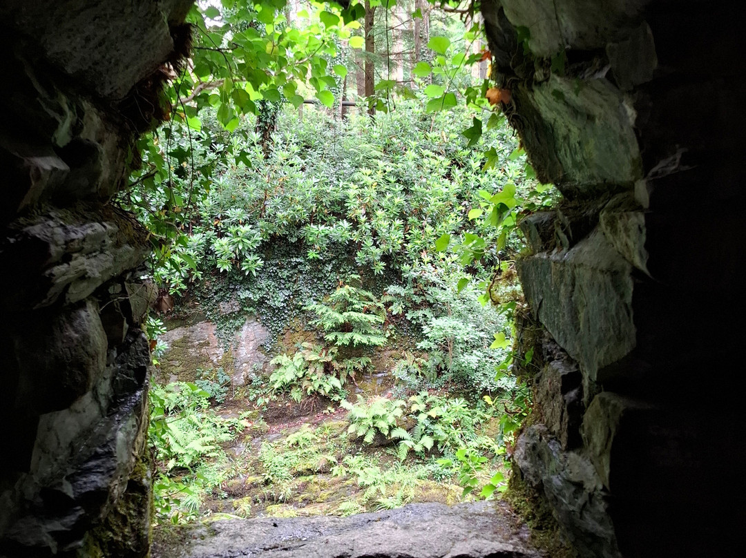 Tollymore Forest Park-纽卡斯尔必去景点