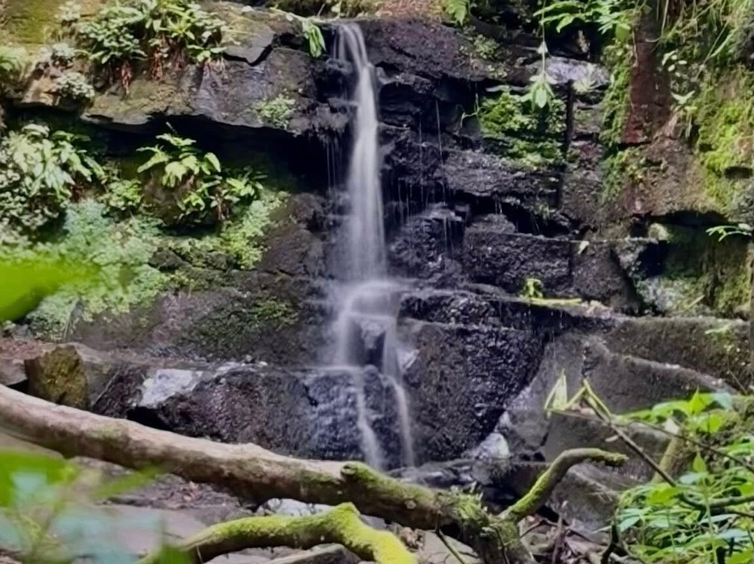 Fairy Glen-Appley Bridge必去景点