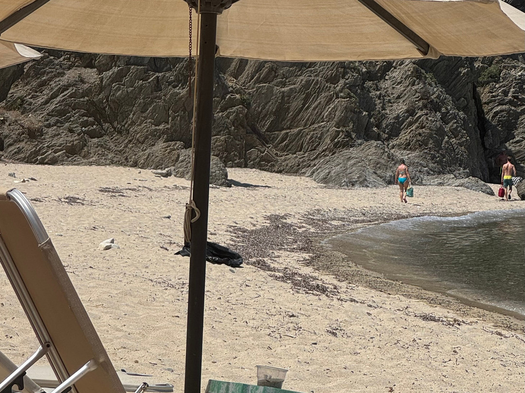 Goa Beach-Sarti必去景点