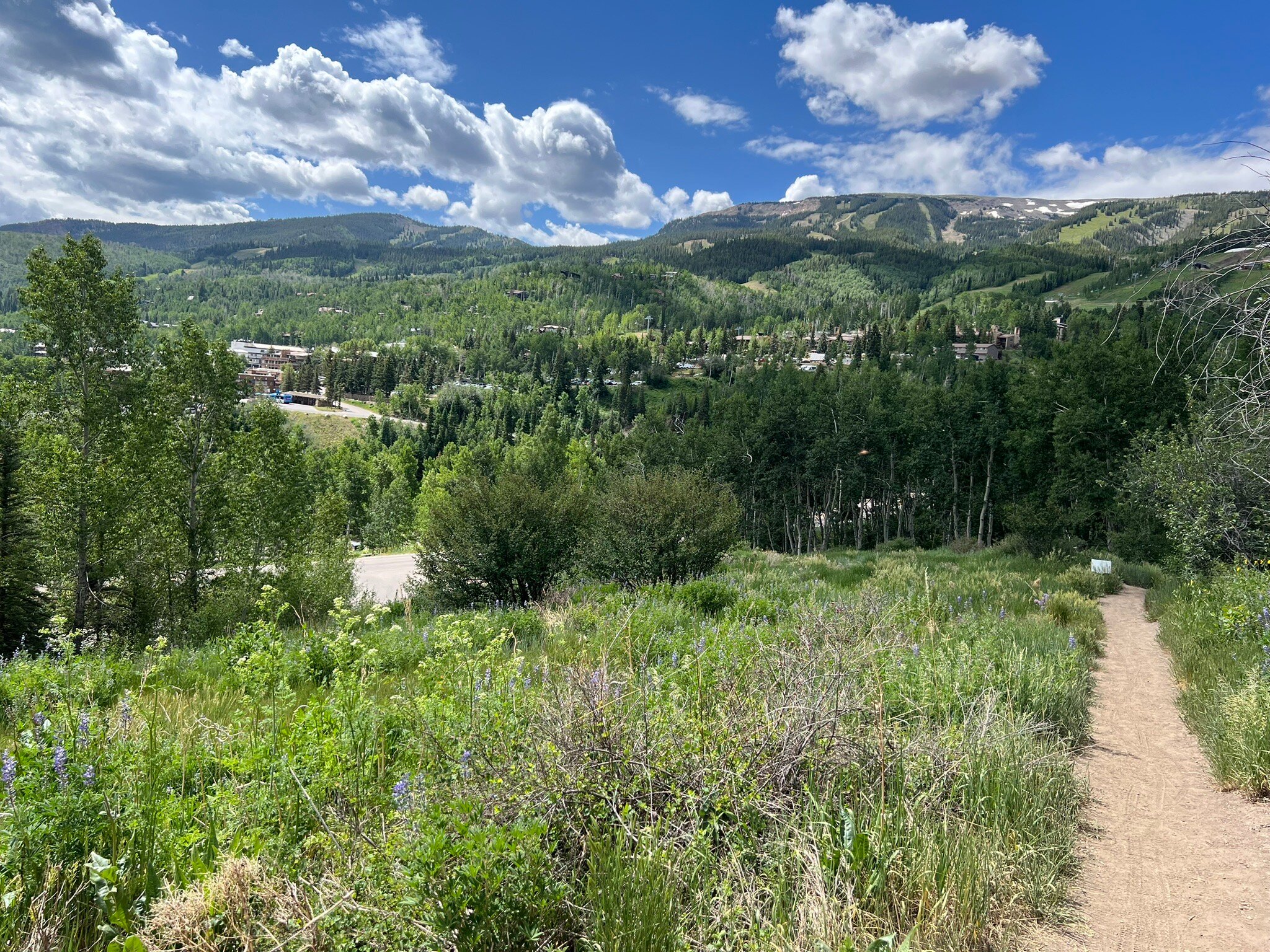 Stonebridge Condominiums-官方