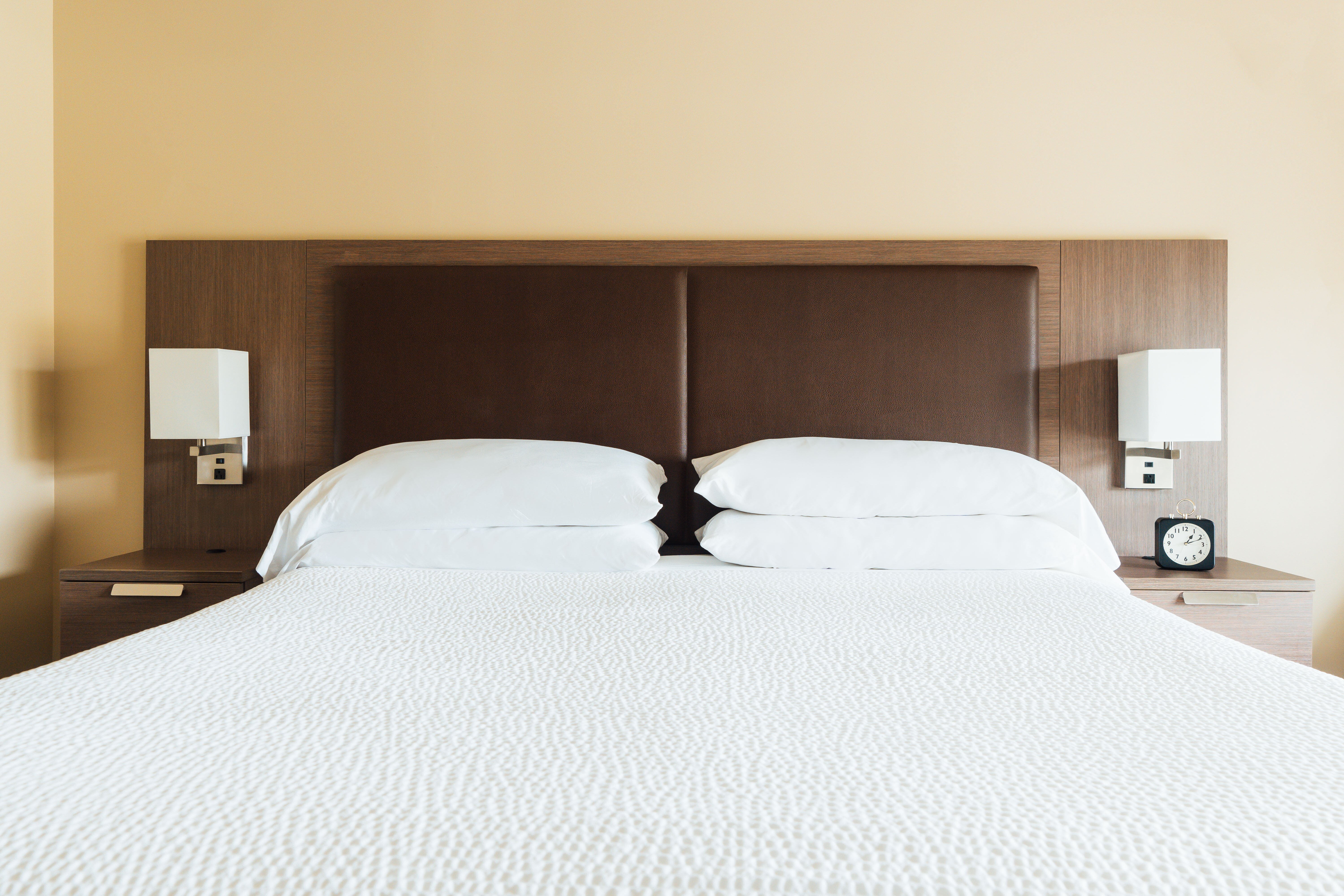 Belfast Harbor Inn-客卧