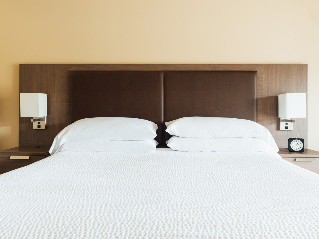 Belfast Harbor Inn主图