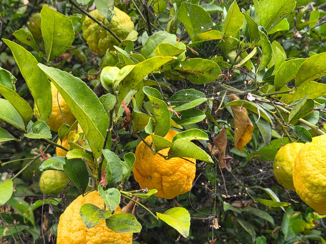 Andean Spirit Lodge主图