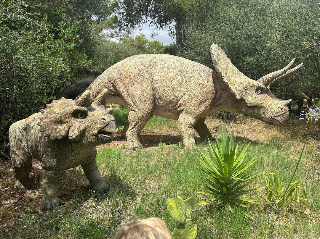 Dinosaurland-克里斯托港必去景点