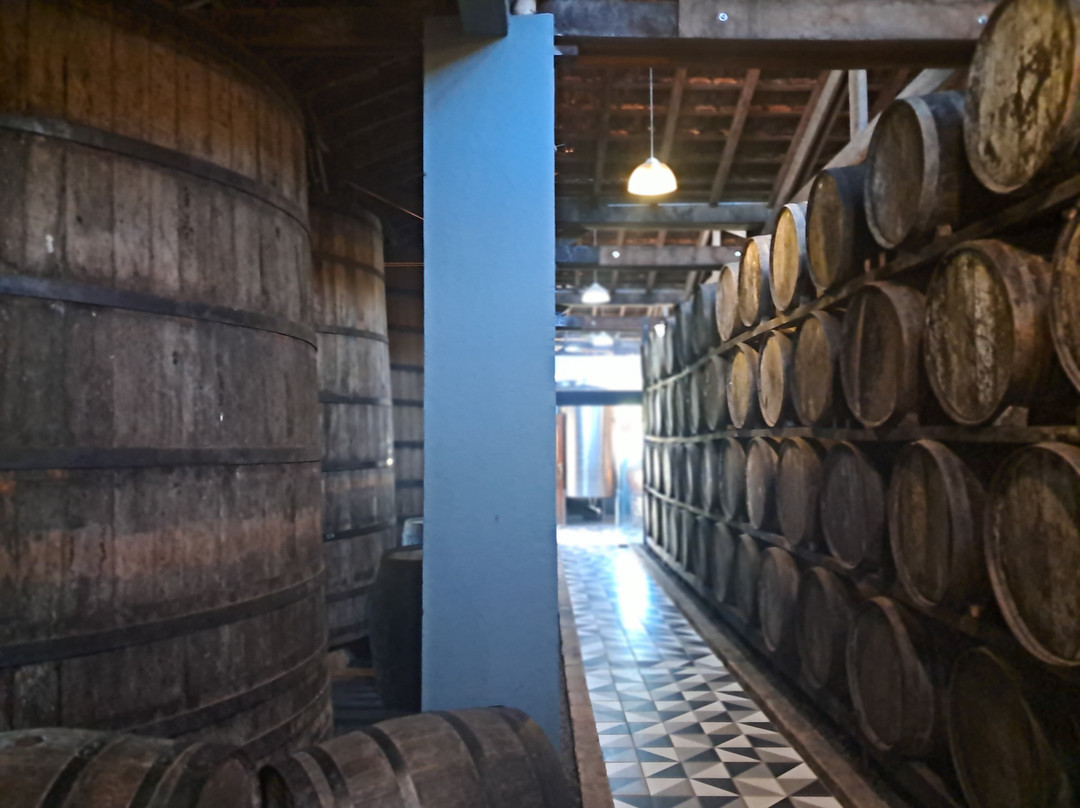 Destilaria Monte Verde-蒙特贝尔德必去景点